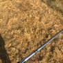 TaylorMade Qi10 Dot Tour Only Driver Image 7