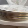 Set of six  Royal Doulton 10.7 inch dinner plates "Flirtation" pattern Image 5