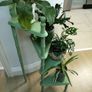 Vintage wooden plant stand Image 2