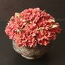 Miniature Flower Pots Image 2