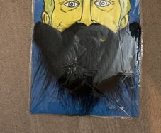 Fake beard