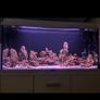 Malawi fish tank custom made (without fish and stand) Image 9