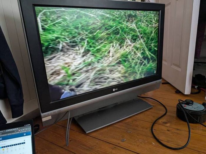 LG Plasma screen TV