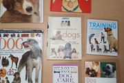 Large Dog Book Bundle