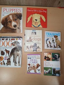 Large Dog Book Bundle