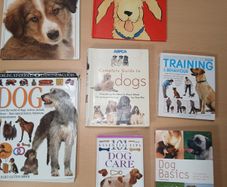 Large Dog Book Bundle