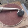 Antique Kingfisher Horn Gramophone Image 7