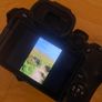 Canon EOS R10 Mirrorless Camera + RF-S 18-150mm IS STM Lens Kit Image 9