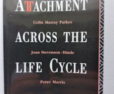 Attachment Across The Life Cycle