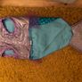 Dog Mermaid Outfit Image 4