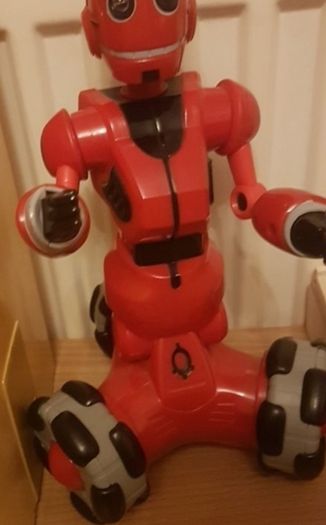 Mini Tri bot