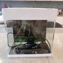 Betta life fish tank Image 2