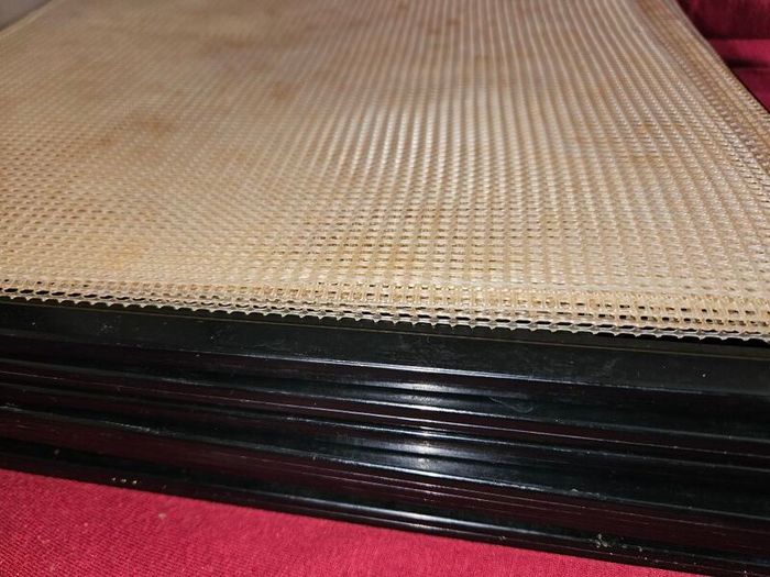 Excalibur food dehydrator 9 trays - Made in USA