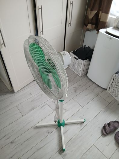 Fan
