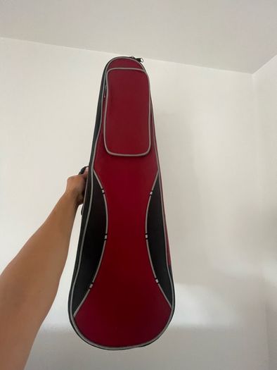 Stentor Student 2 Violin
