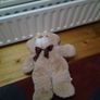 Teddy Bear for Sale Image 2