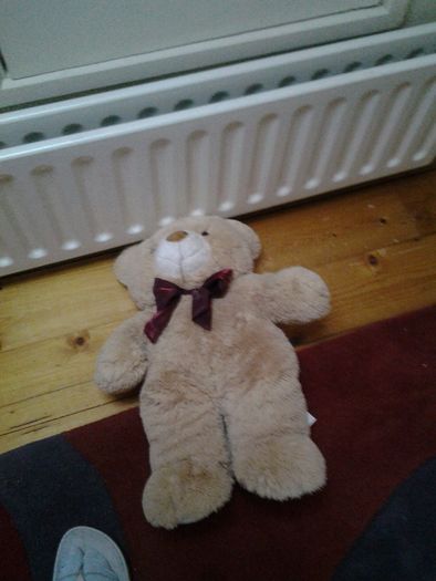 Teddy Bear for Sale