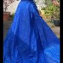 debs d Image 2