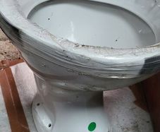 toilet bowl