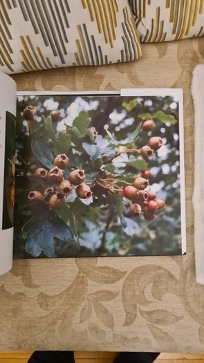 Stories From Life By Ignatius Waters. C. P. Beautiful Illustrated Large Volume Hardback With Dustjacket In Very Good Condition.make Lovely Christmas Present. 34.