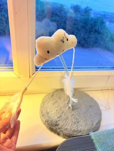 Cute cat toys