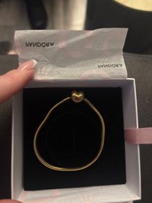 Brand new Pandora bracelet with charms