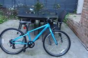 Ridgeback Dimension 24"