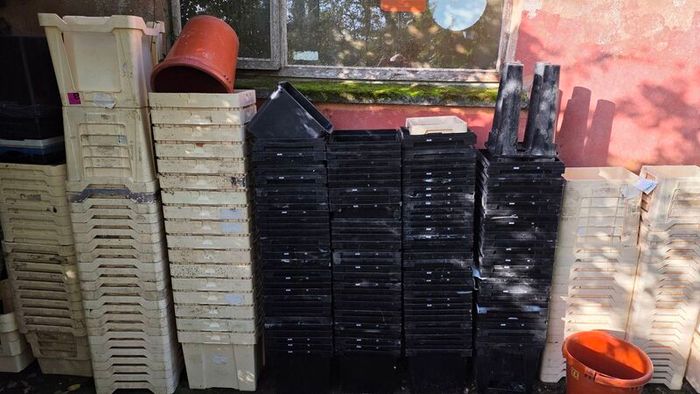 florist containers job lot