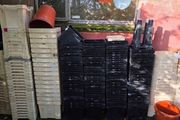 florist containers job lot