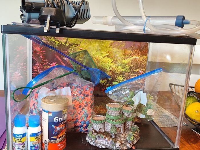 Fish tank