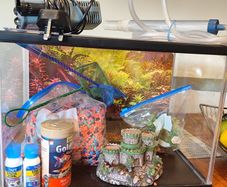 Fish tank