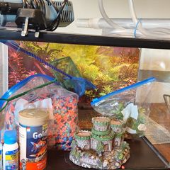Fish tank