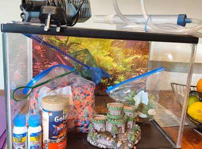 Fish tank