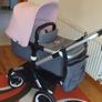bugaboo Image 2