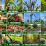 tree surgeon Image 4