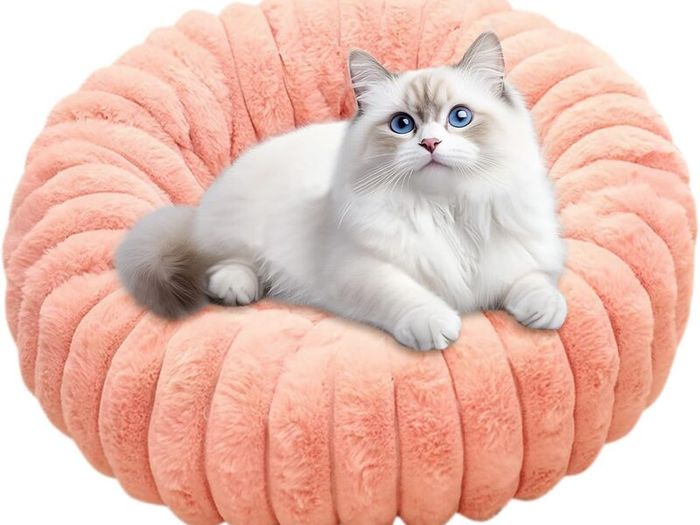 Small Dog Bed, Cat Bed, Washable Pet Soft Plush Calming Anti-Anxiety Donut Sofa with Anti-Slip Bottom for Dogs, Cats, Kittens and Puppies