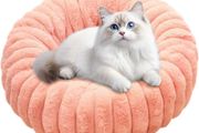 Small Dog Bed, Cat Bed, Washable Pet Soft Plush Calming Anti-Anxiety Donut Sofa with Anti-Slip Bottom for Dogs, Cats, Kittens and Puppies