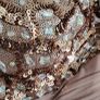Little Mistress Occasion Dress Sz 8uk Image 9