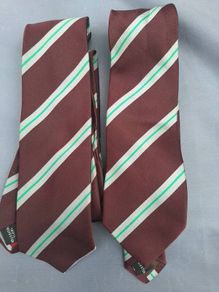 St Wolstans Community School Ties
