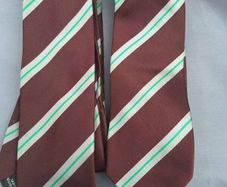 St Wolstans Community School Ties