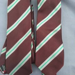St Wolstans Community School Ties