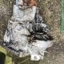 Gearbox for Reconditioned. Citroen Berlingo, Peugeot Partner, 1.6HDi Diesel Engine, with 5 speed gearbox (Suits 2010 - 2018 Models.) Image 8
