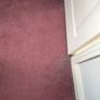 carpet Image 4