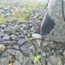 Volvo alloys  for sale Image 4