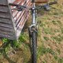 Claud butler Rock mountain bike Image 2