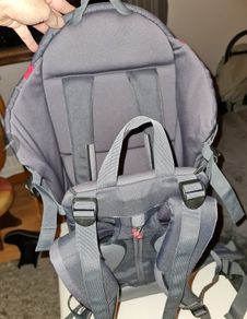 Phil and Ted baby carrier