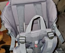 Phil and Ted baby carrier