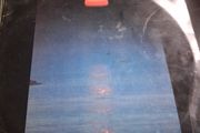 Sea Of Tranquility Phil Coulter Vinyl Lp