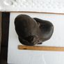 Bronze sculpture Image 3
