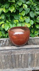 garden pots